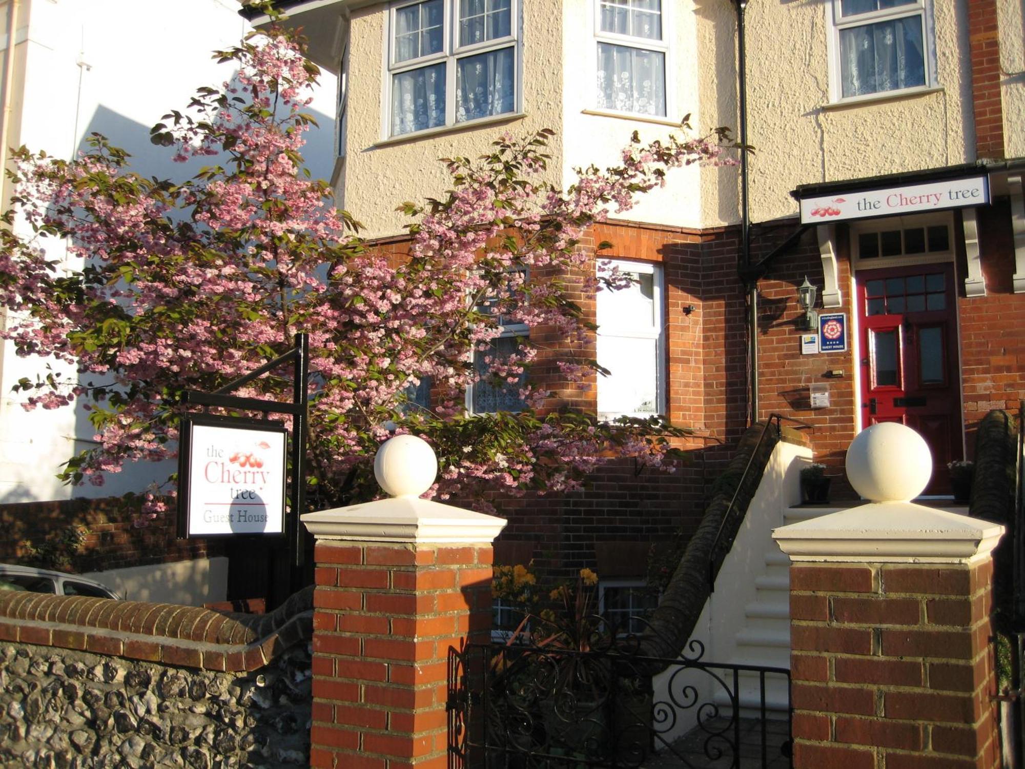 The Cherry Tree Guest House Eastbourne Luaran gambar