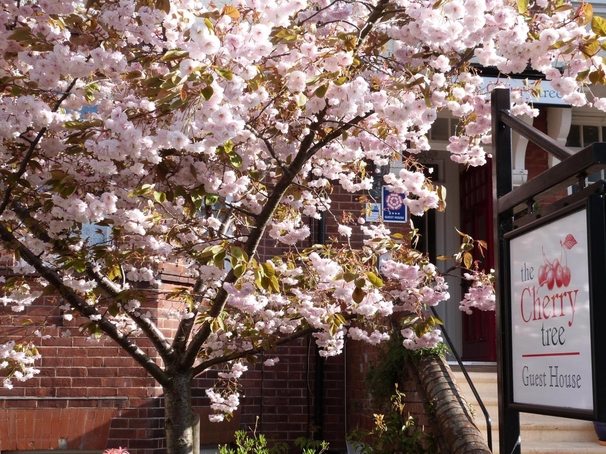 The Cherry Tree Guest House Eastbourne Luaran gambar