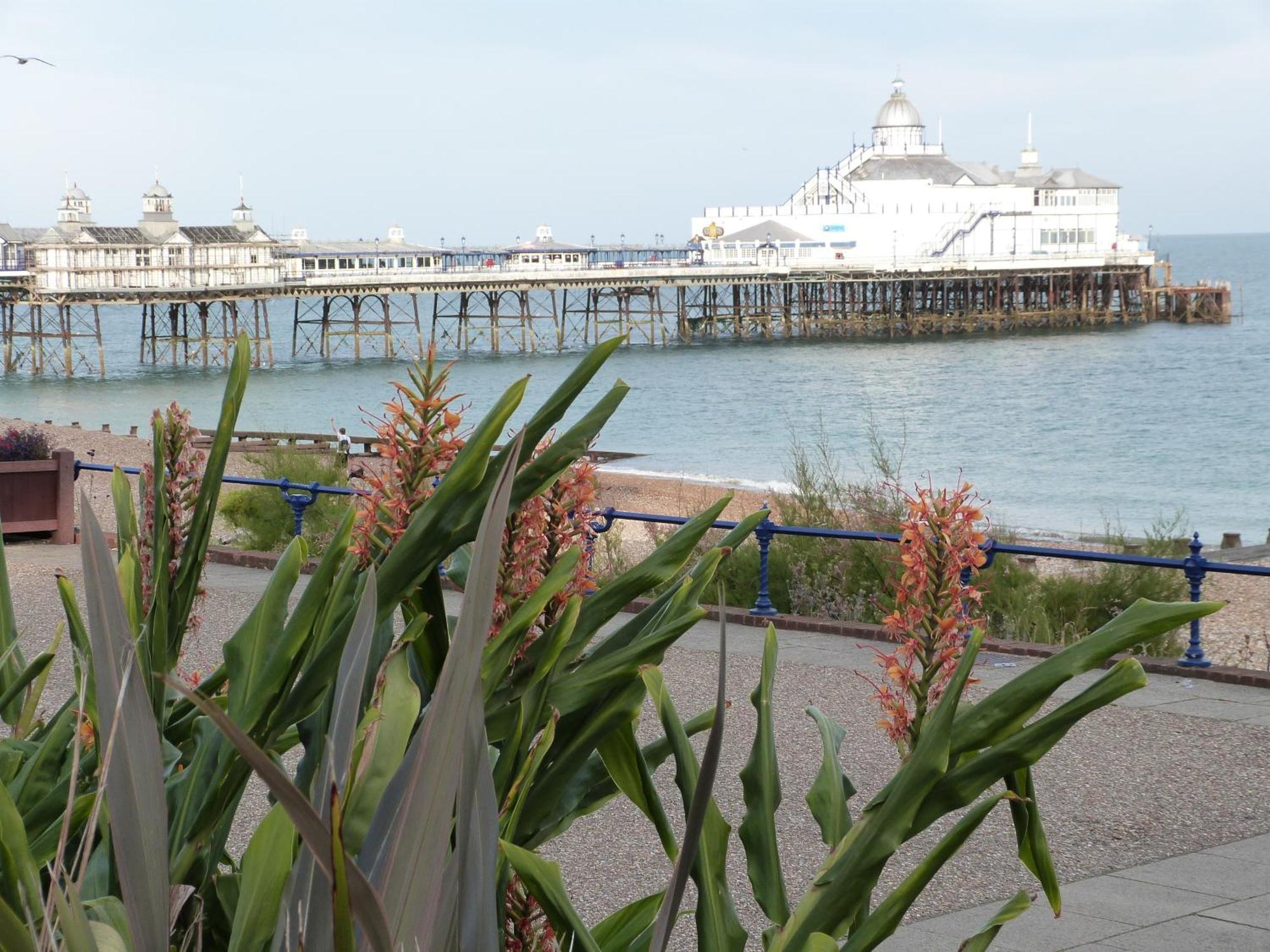 The Cherry Tree Guest House Eastbourne Luaran gambar